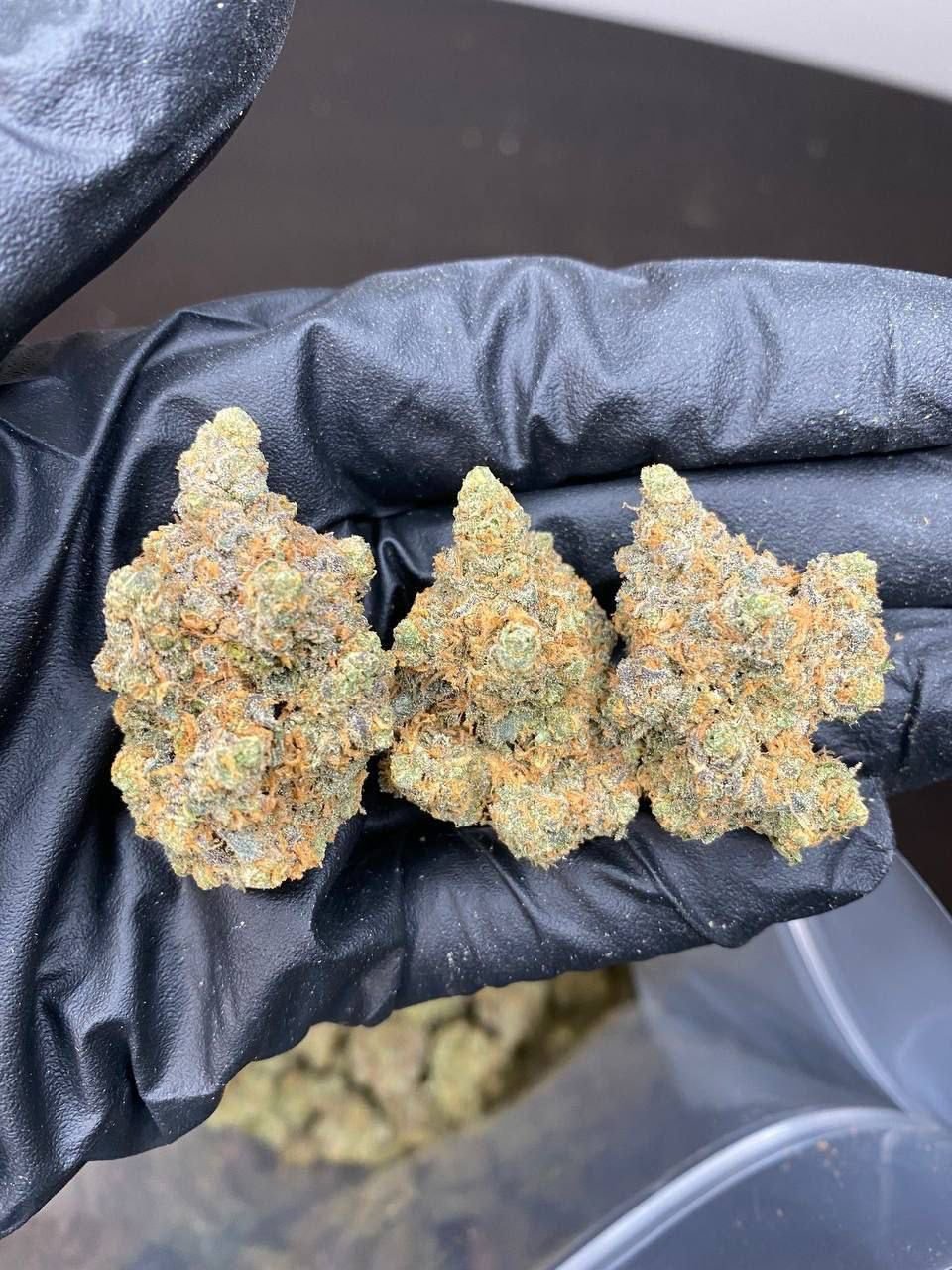 Cannabis – Image 2