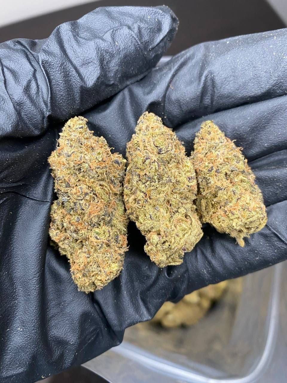 Cannabis – Image 4