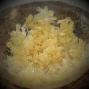 DMT (diméthyltriptamine)